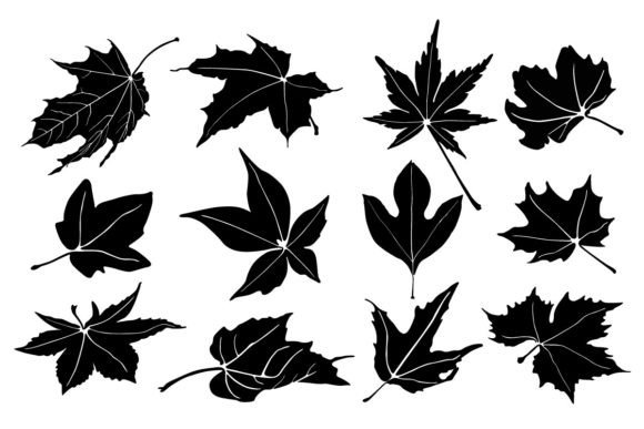 Maple Leaves Unique Designs: A Designer’s Perspective