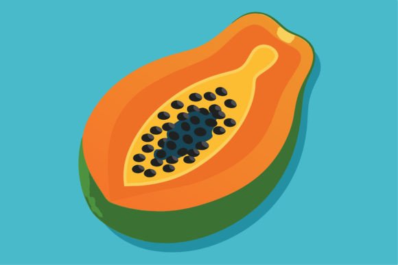 Papaya Cut Open Vector Illustration: A Designer’s Practical Take