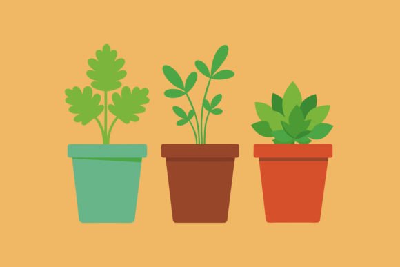 Set of Office Plants in Pots Vector for Crafts and Graphics